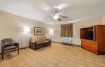 1 Bedroom Suite - 1 Queen Bed